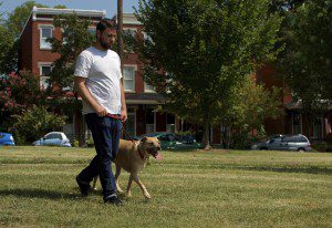 leash reactivity, learn to walk a pitbull